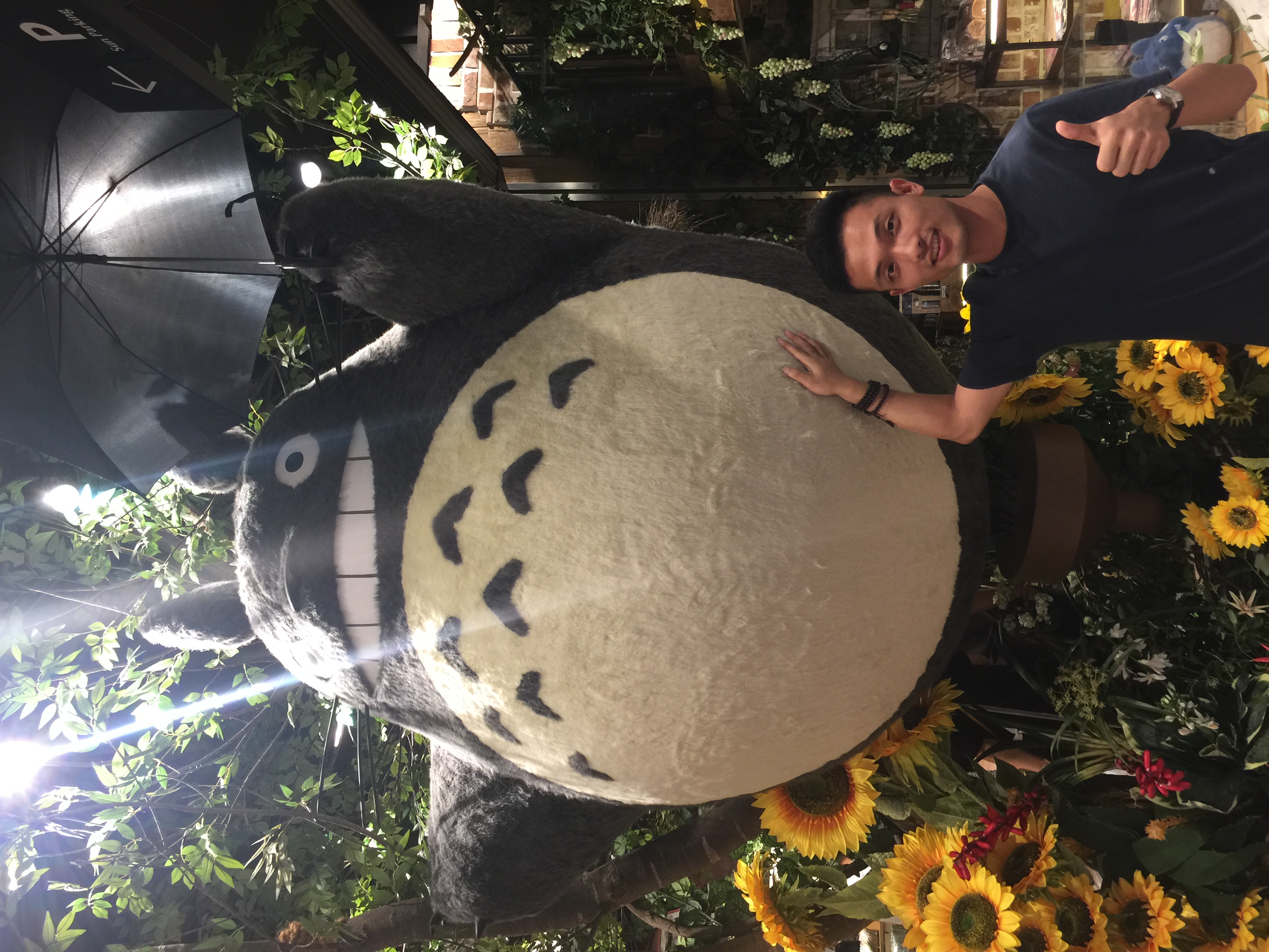 Encountering a Giant Totoro